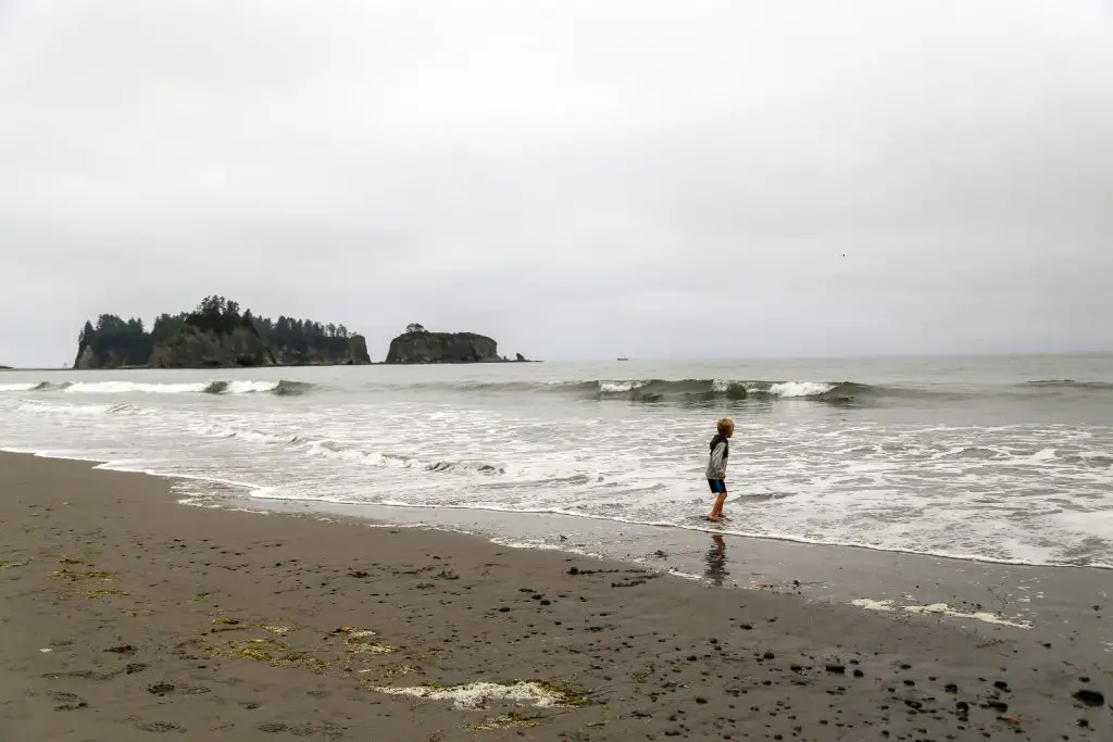 James Islands La Push